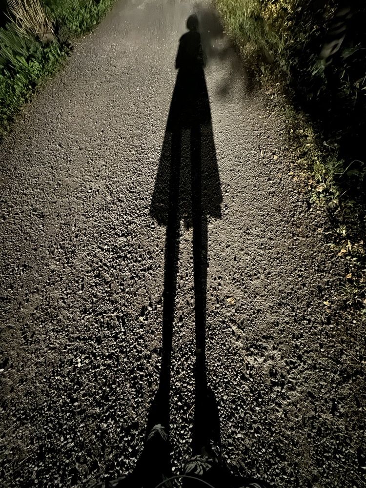 Photograph by Елена Осипова