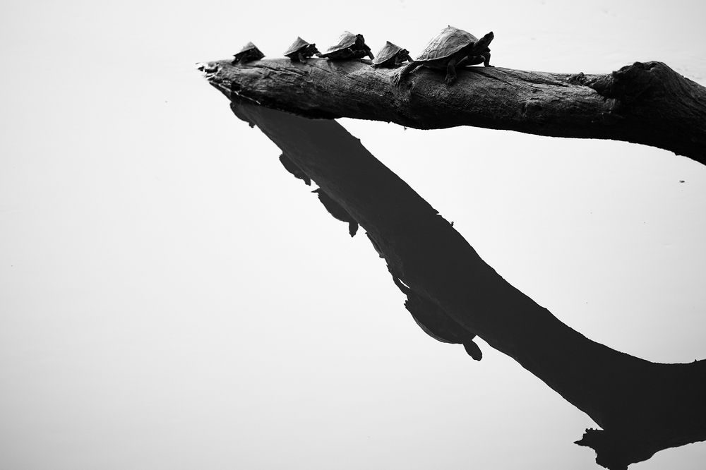 Photograph by Sumon Das