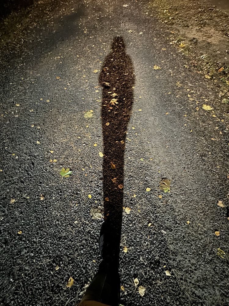 Photograph by Елена Осипова