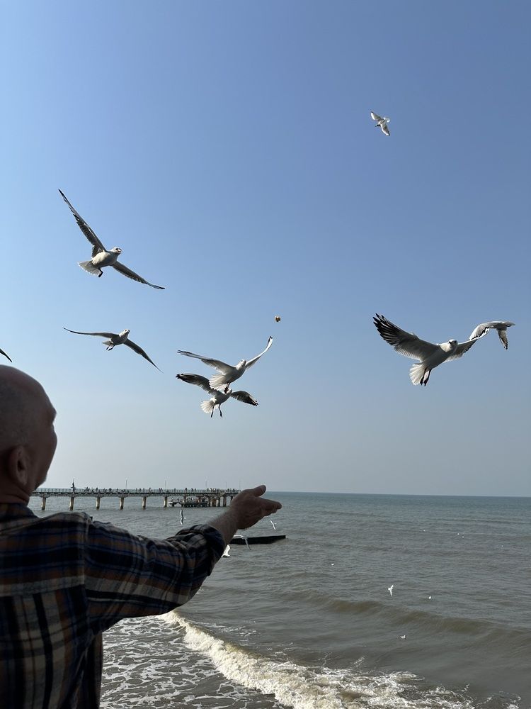 Photograph by Svetlana Tolkunova