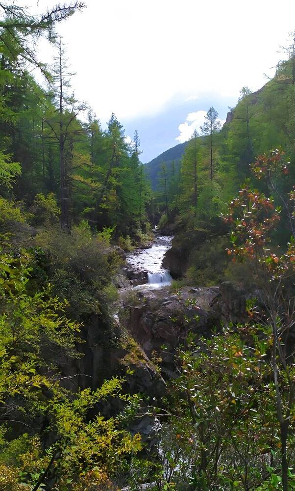 Photograph by Юлия Холомцева