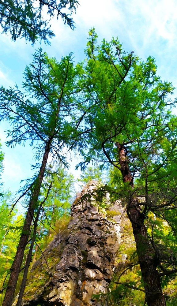 Photograph by Юлия Холомцева