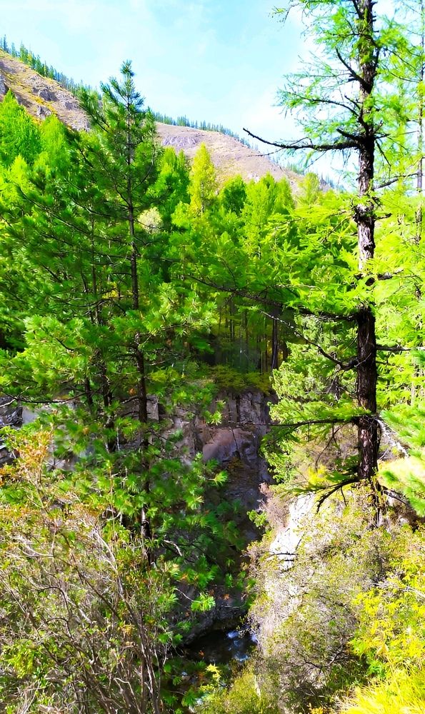 Photograph by Юлия Холомцева