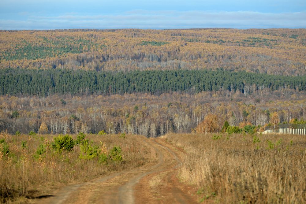 Photograph by Андрей Пляскин