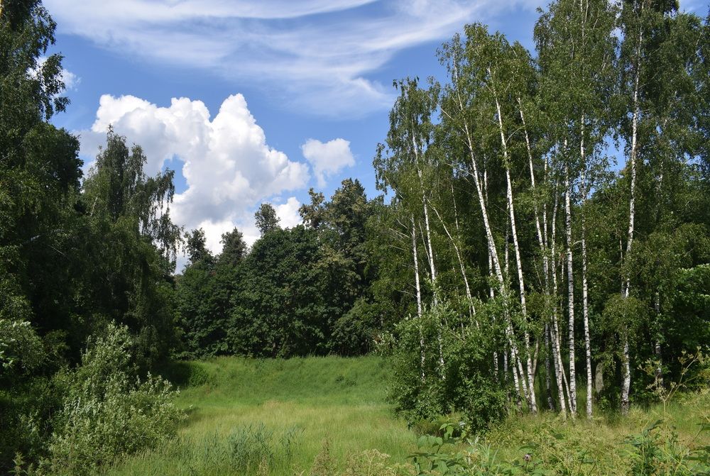 Photograph by Galina Leskova