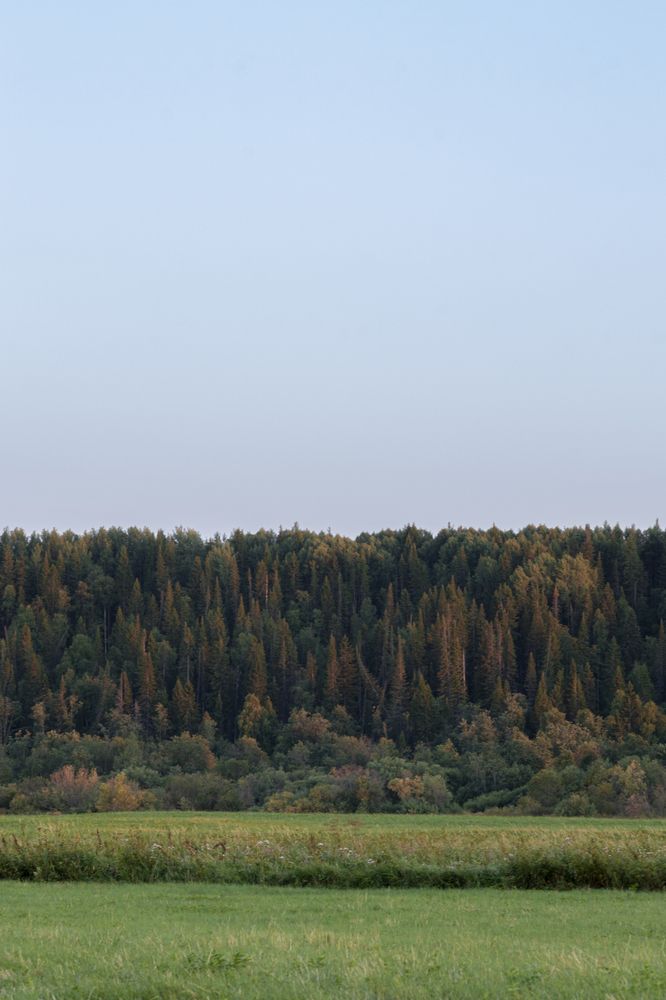 Photograph by Никита Павлов