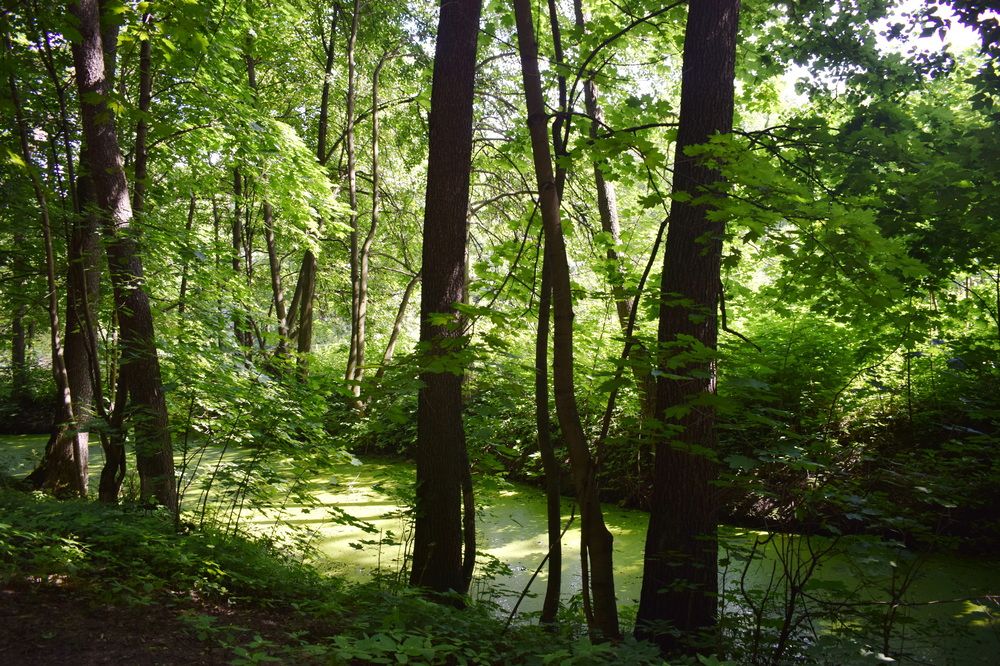 Photograph by Galina Leskova