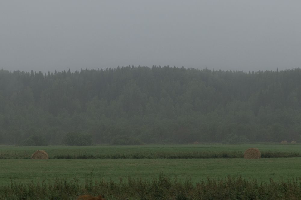 Photograph by Никита Павлов