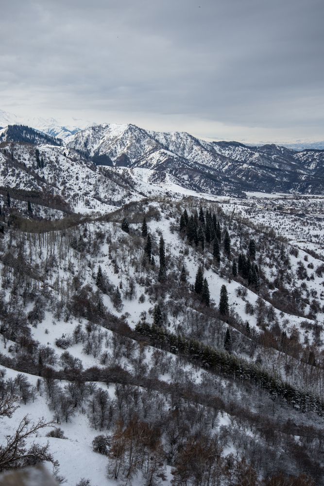 Photograph by Екатерина Якель