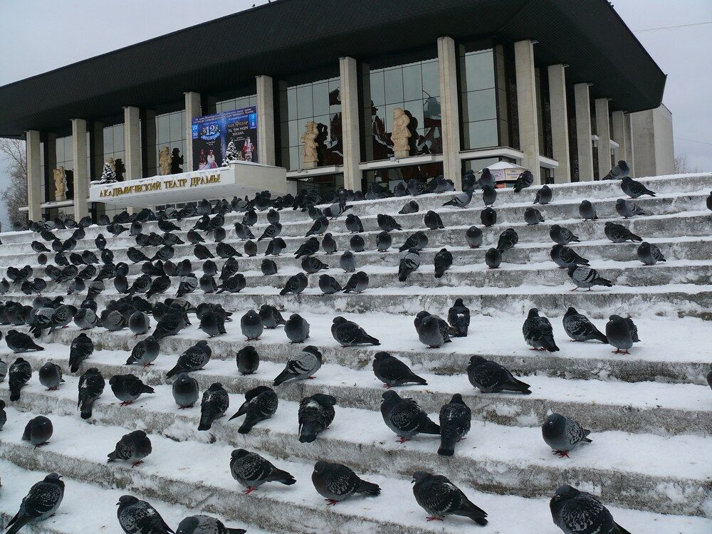 Фотография автора Анатолий Борисов