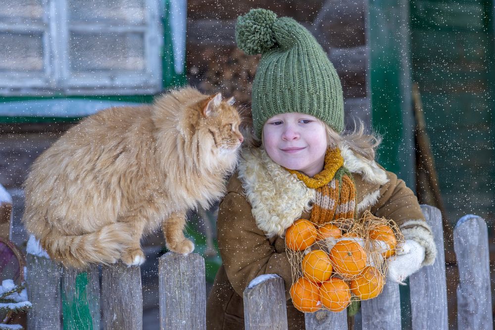 Рыжее настроение!