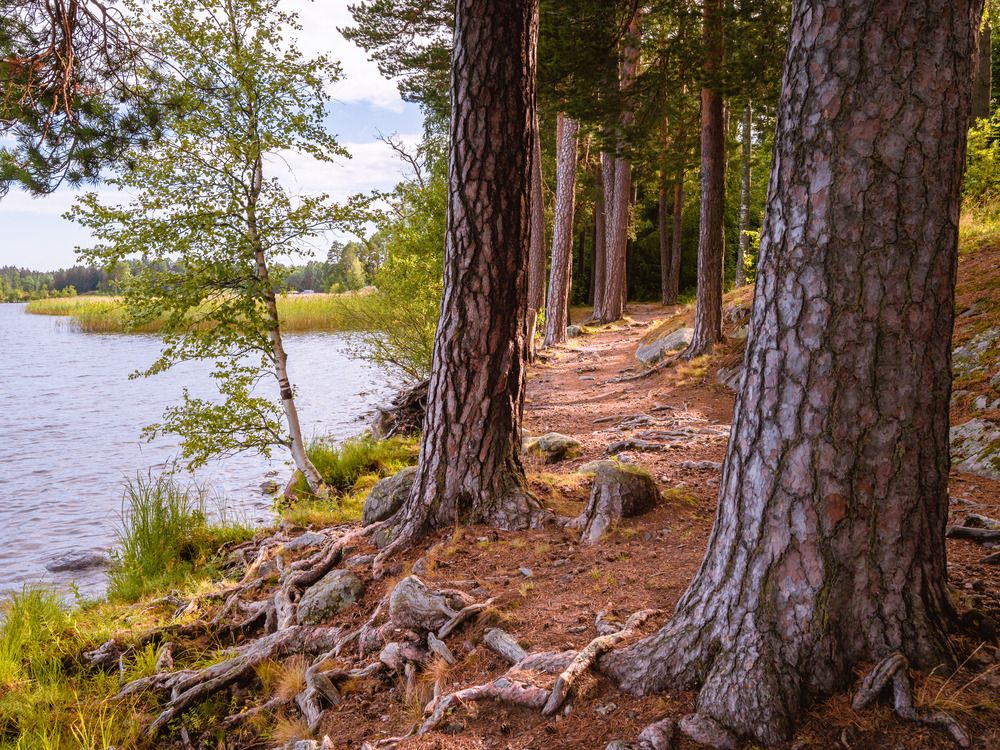 Photograph by Бабурин Олег