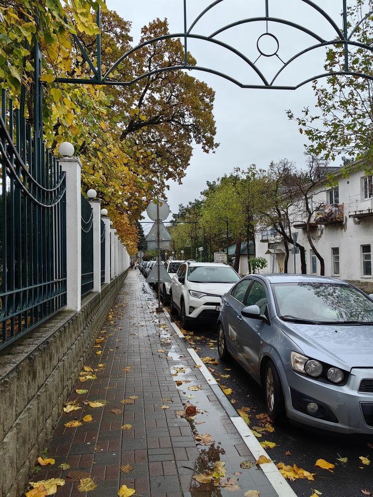 Фотография автора Юлия Лубкина