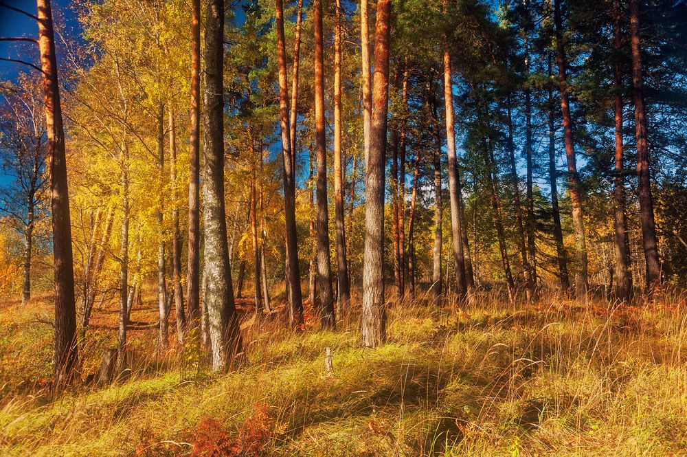 Photograph by Павел Жданов