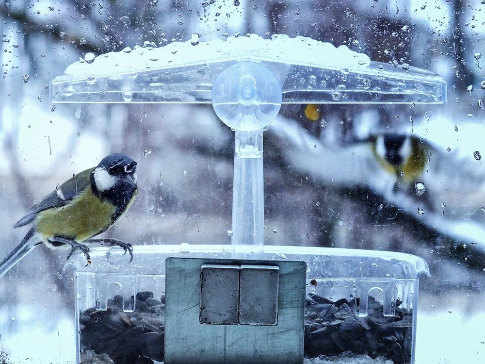 Фотография автора Гоголев Игорь