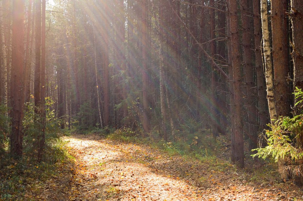 Photograph by Андрей Пляскин