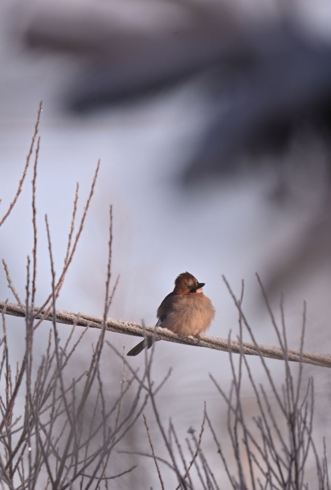 Photograph by Виктория Шажко