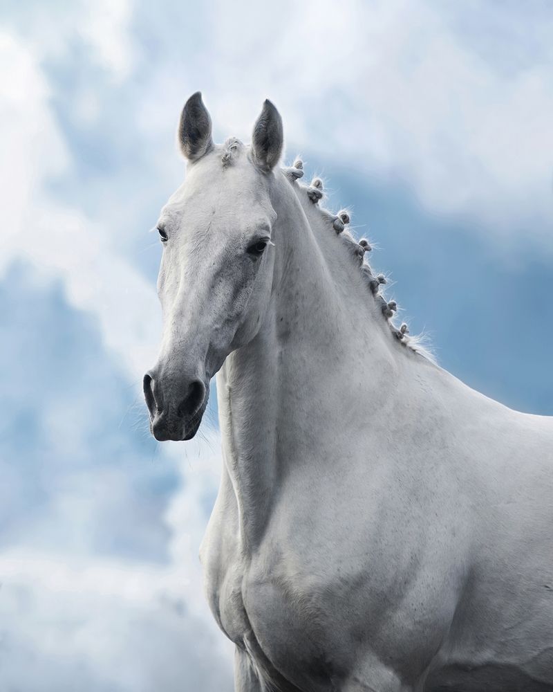 Фотография автора Helena