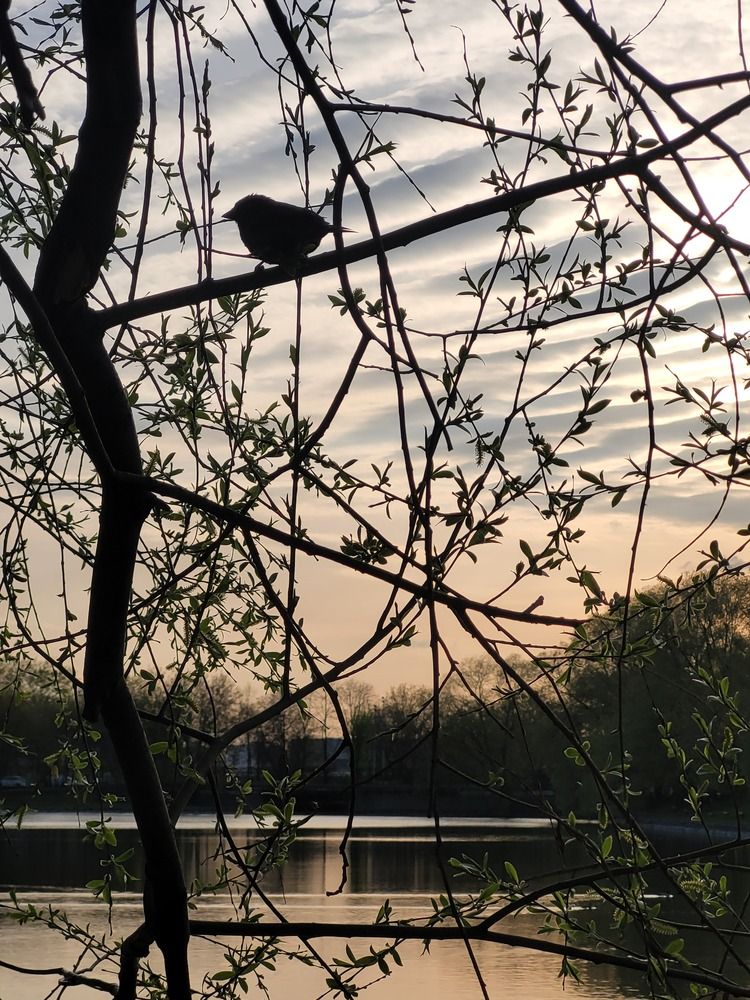 Photograph by Елена