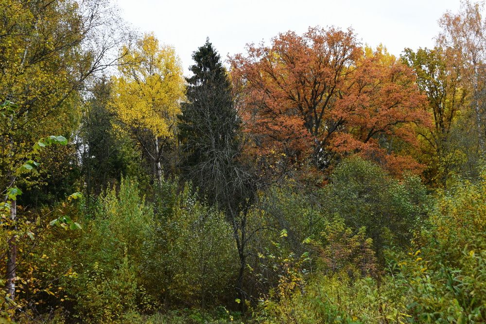 Photograph by Galina Leskova