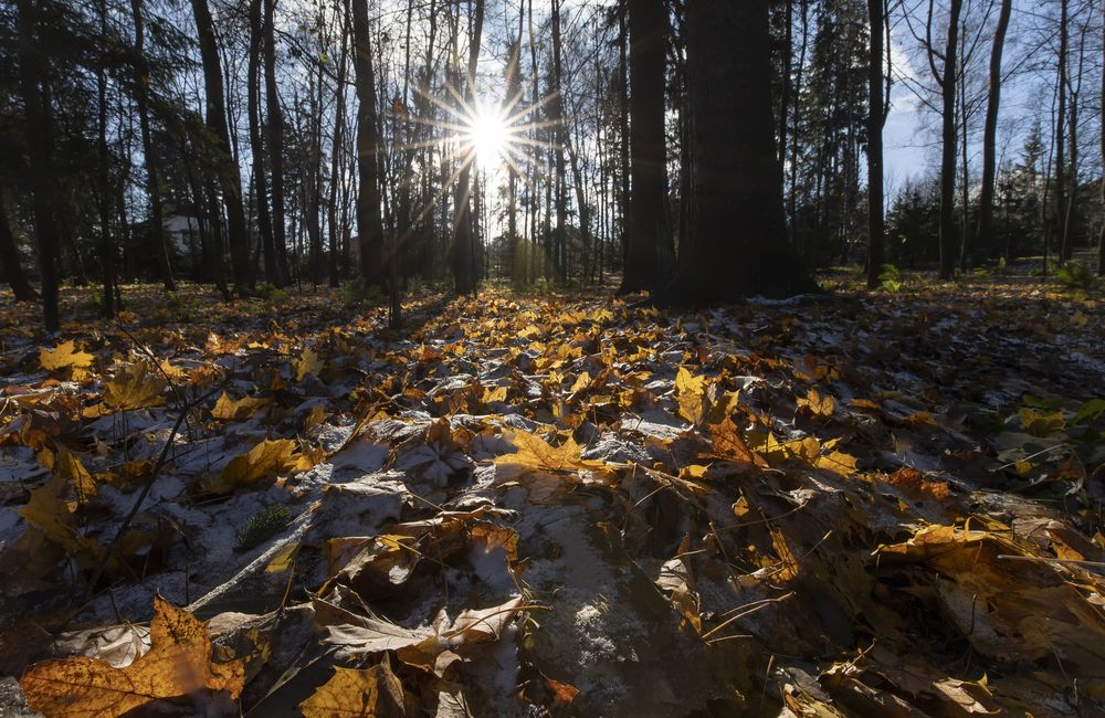 Photograph by Татьяна Феденкова