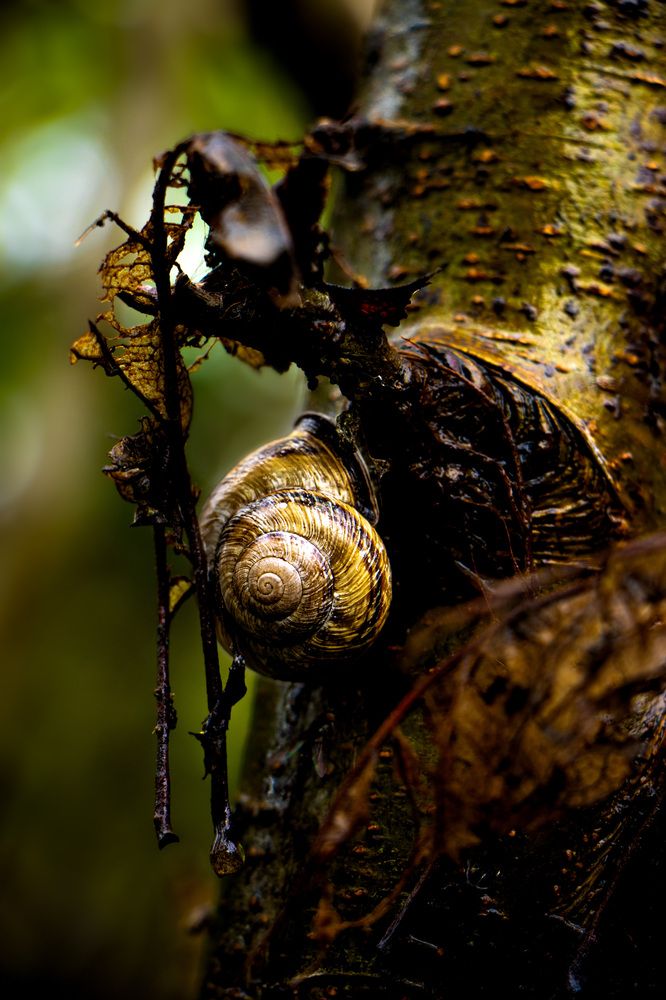 Photograph by Arvin Azs