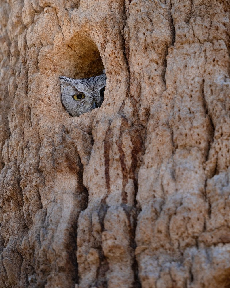 Фотография автора Karthik Subramaniam