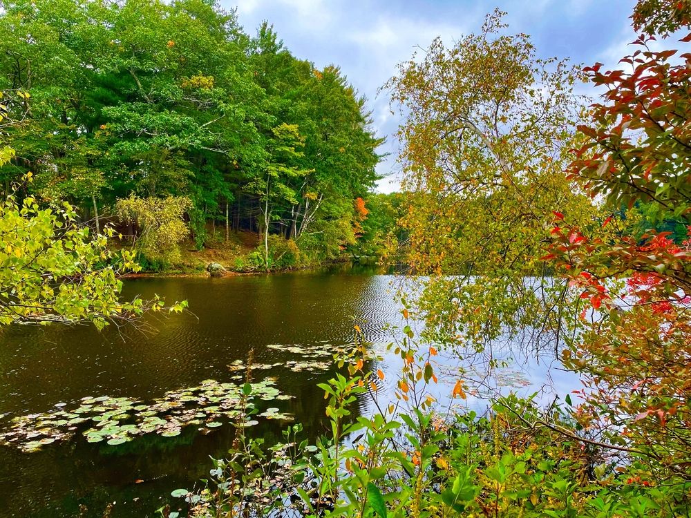 Фотография автора Olga Andriuc