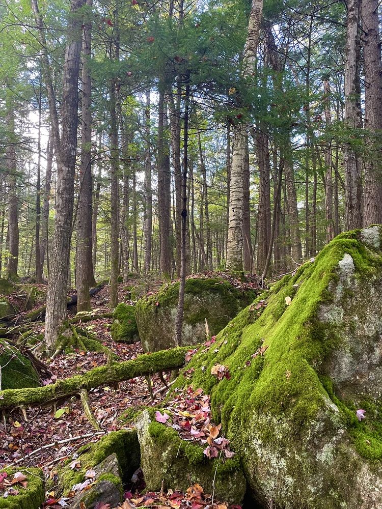 Фотография автора Olga Andriuc