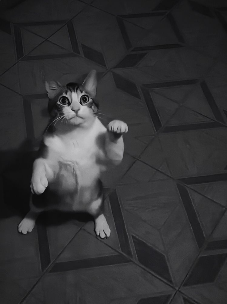 Photograph by Roger Laverde