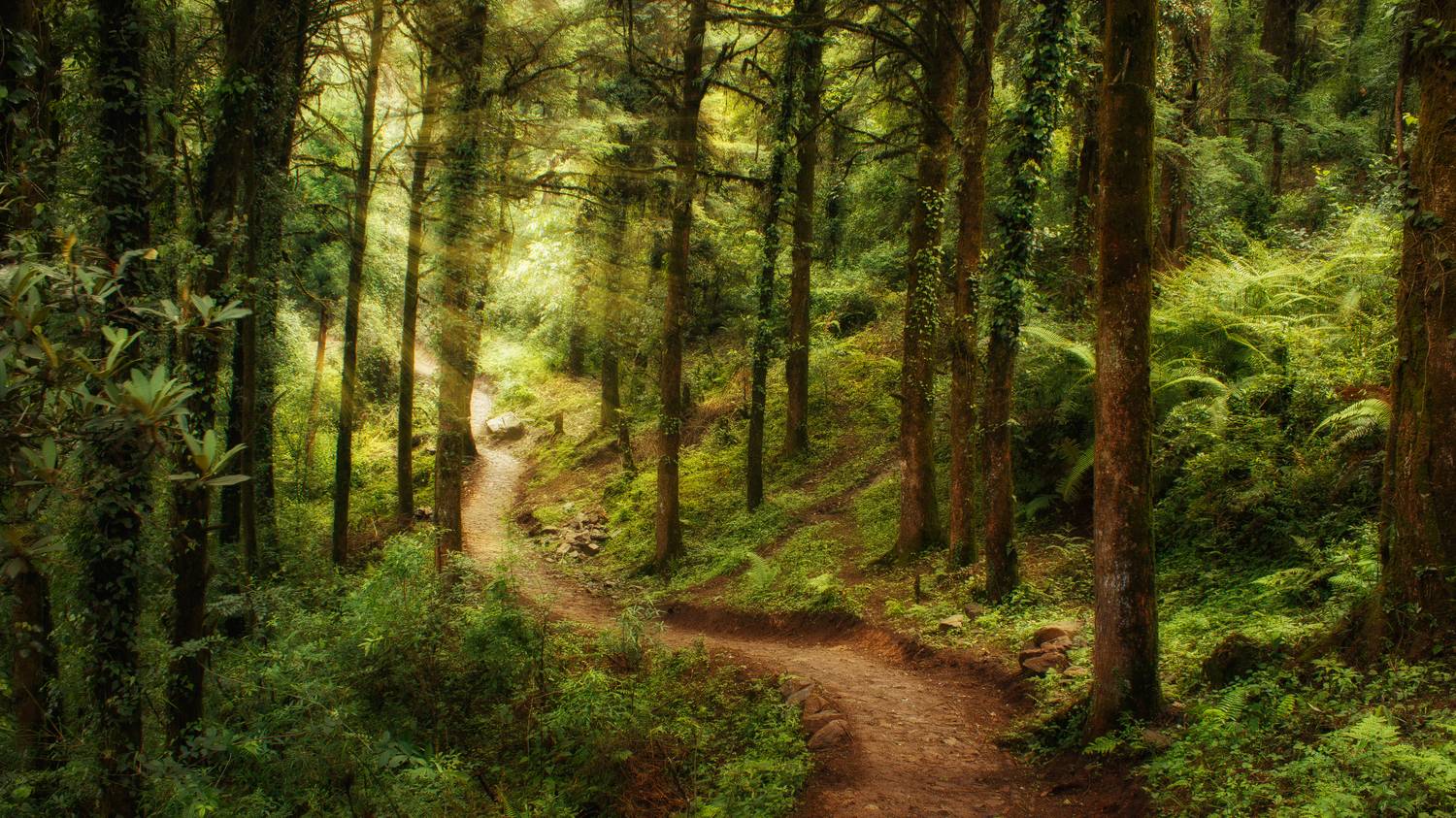 Фотография #11796674