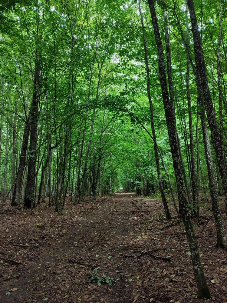 Photograph by Инна Новикова
