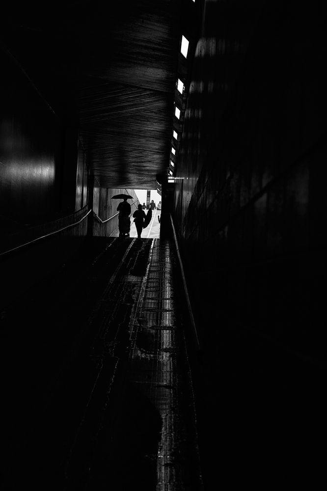 Фотография автора OVIDIU-IOAN TICU