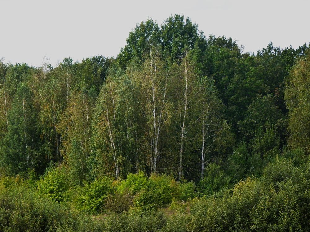 Photograph by Galina Leskova