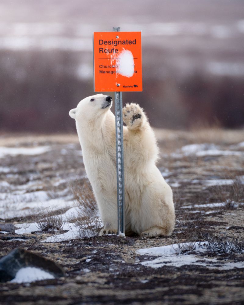 Фотография автора Karthik Subramaniam