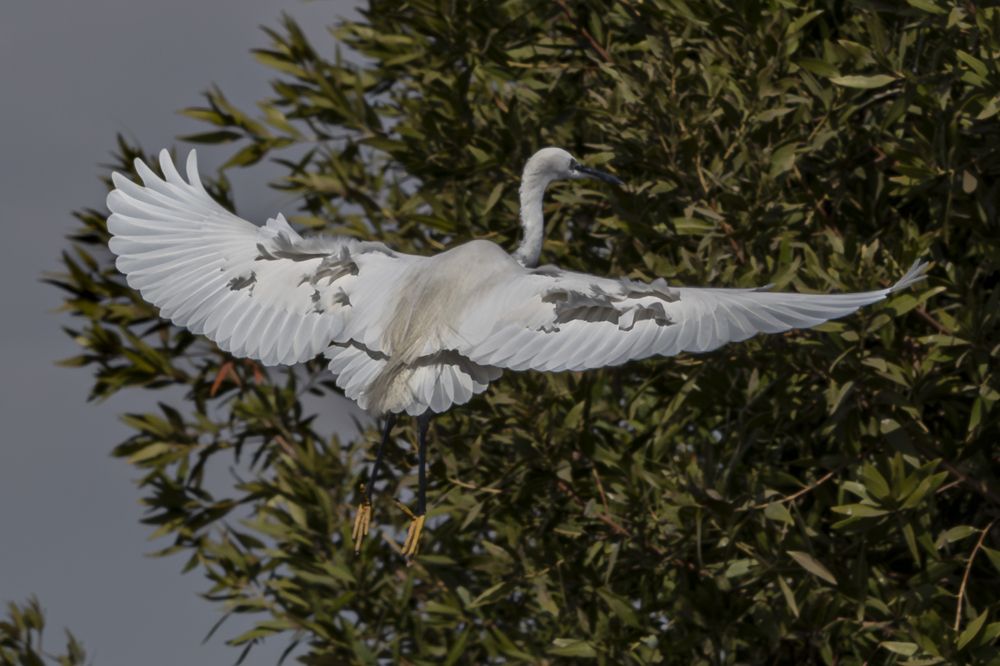 Photograph by Heba Ahmed