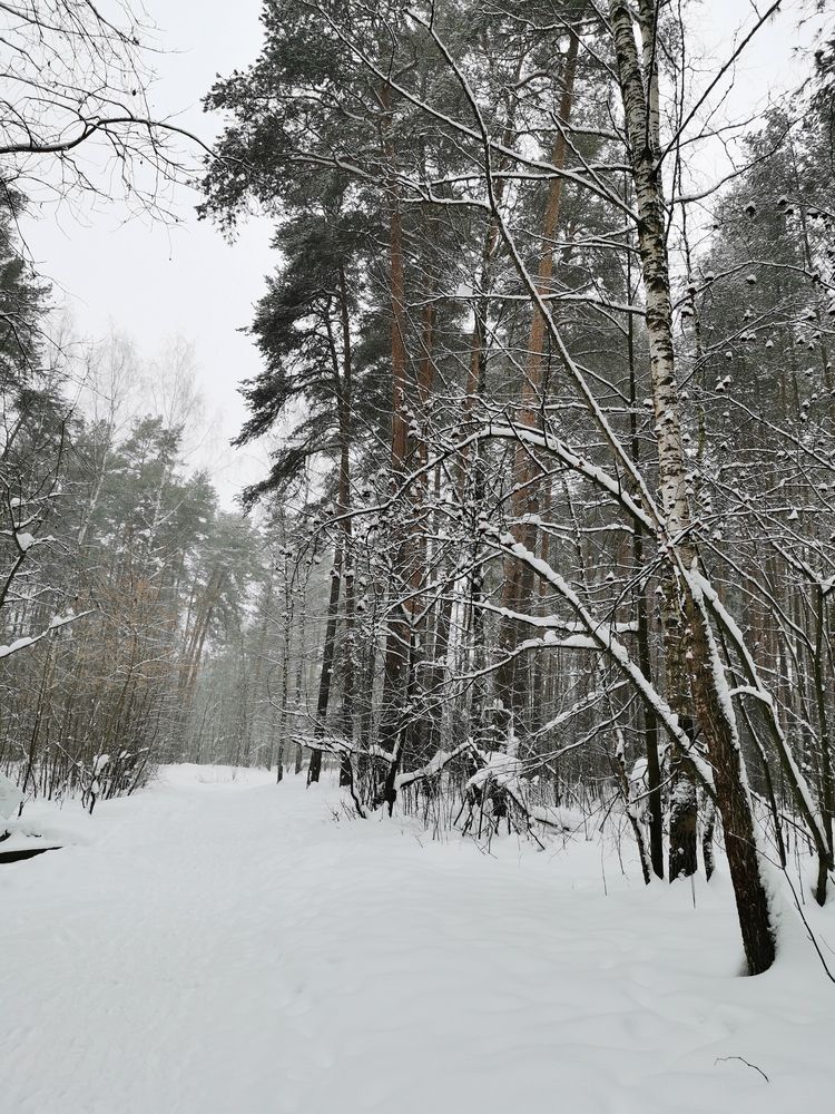 Photograph by Анастасия Мальцева