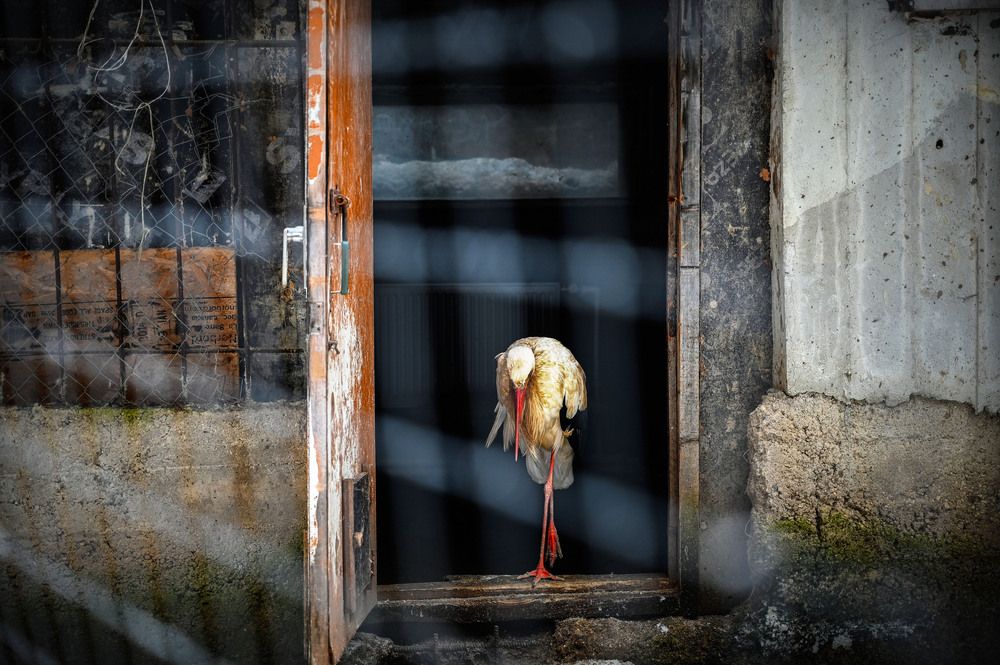 Фотография автора Ковяк Сергей Васильевич