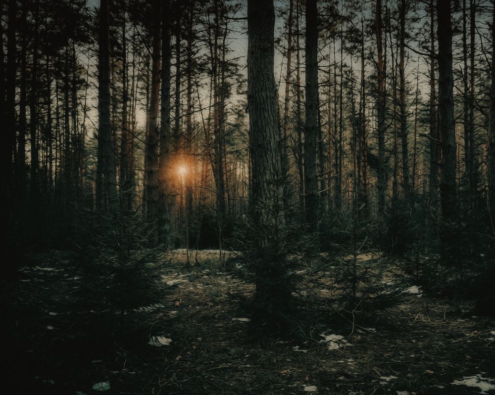 Photograph by Марина Пехтерева