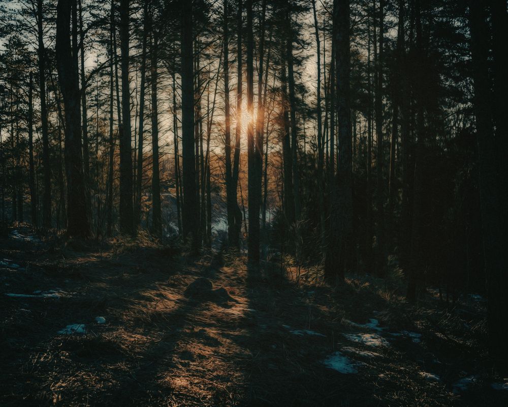 Photograph by Марина Пехтерева