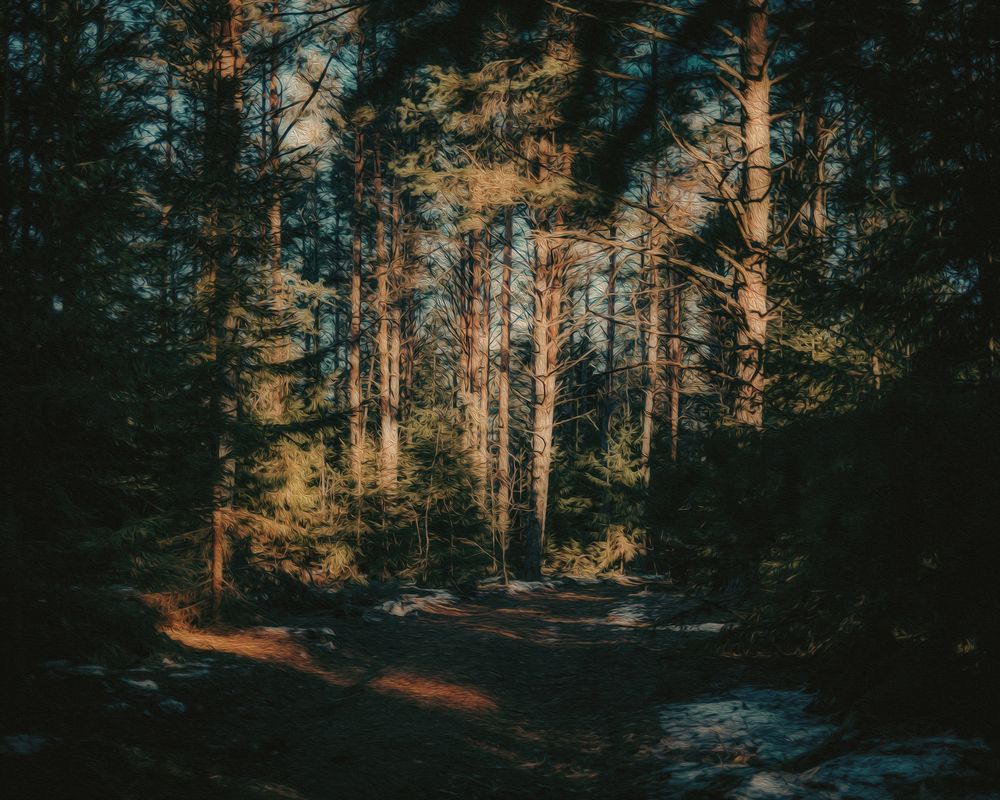 Photograph by Марина Пехтерева