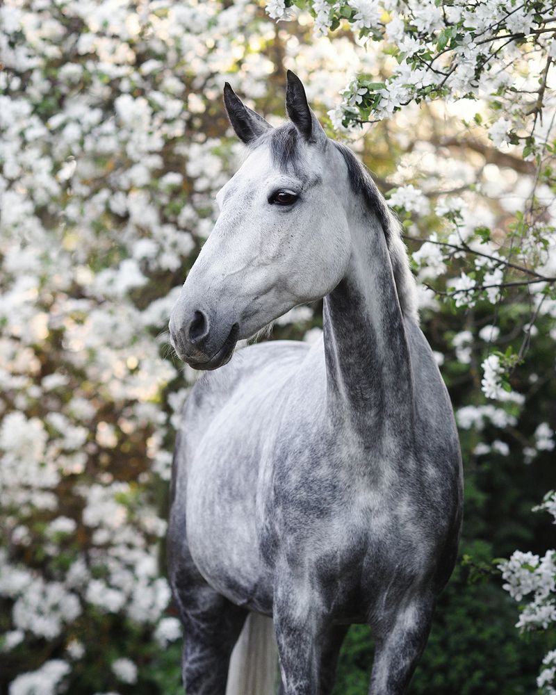 Фотография автора Helena