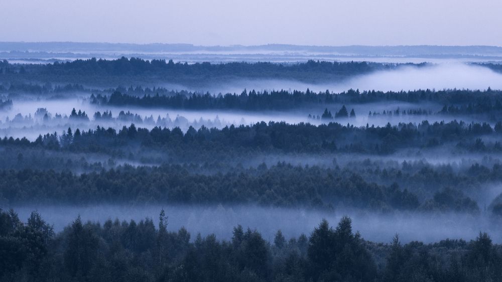 Photograph by Виктория Попкова