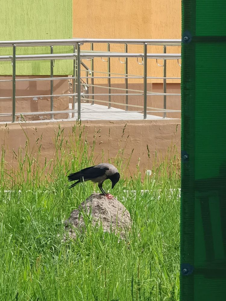 Photograph by Калинина Анастасия