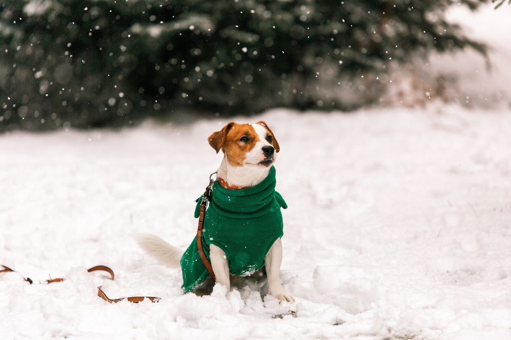 Photograph by Ольга