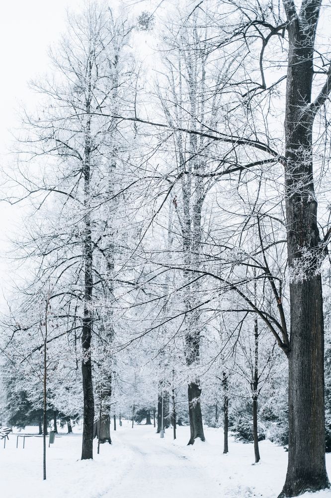 Photograph by Angela