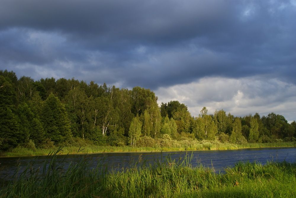 Речка Лютиха