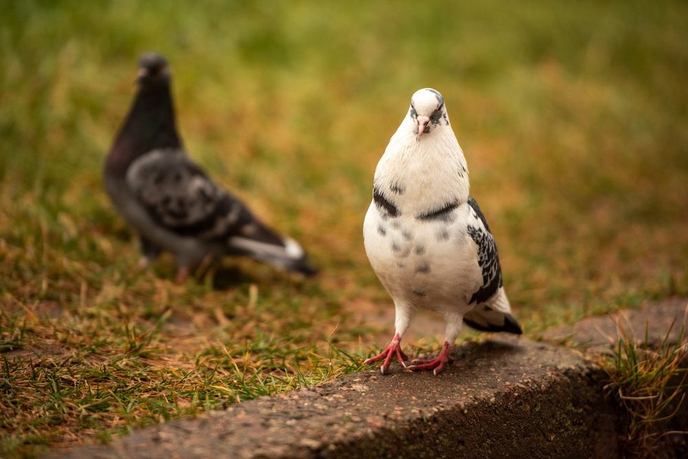 Photograph by Евгений Николаенков