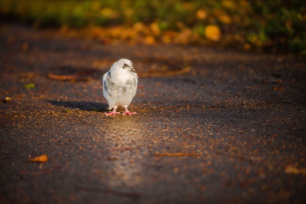 Photograph by Евгений Николаенков