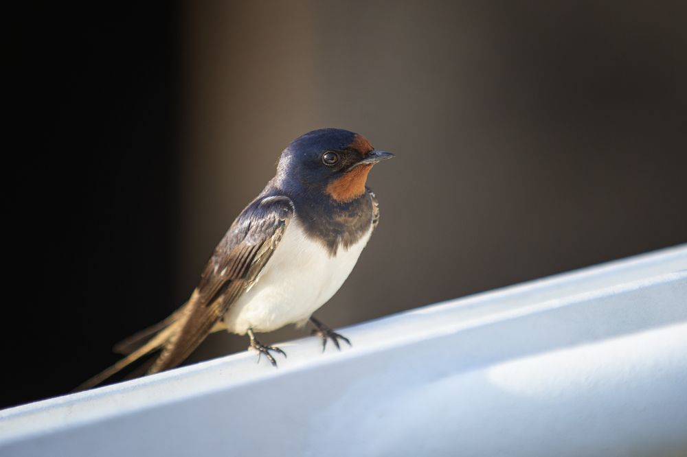 Photograph by Кулаков Юрий